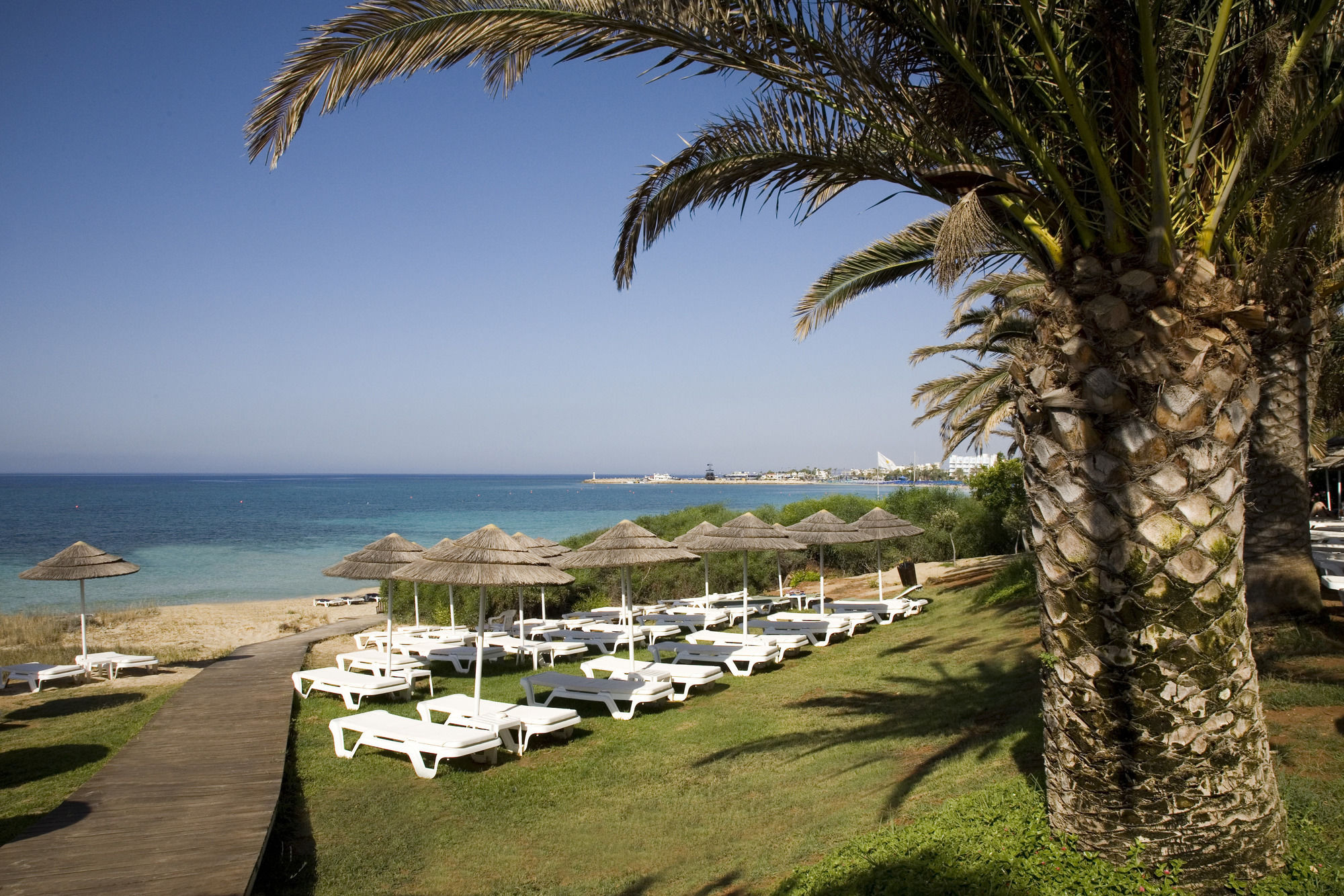 Фото Alion Beach Hotel