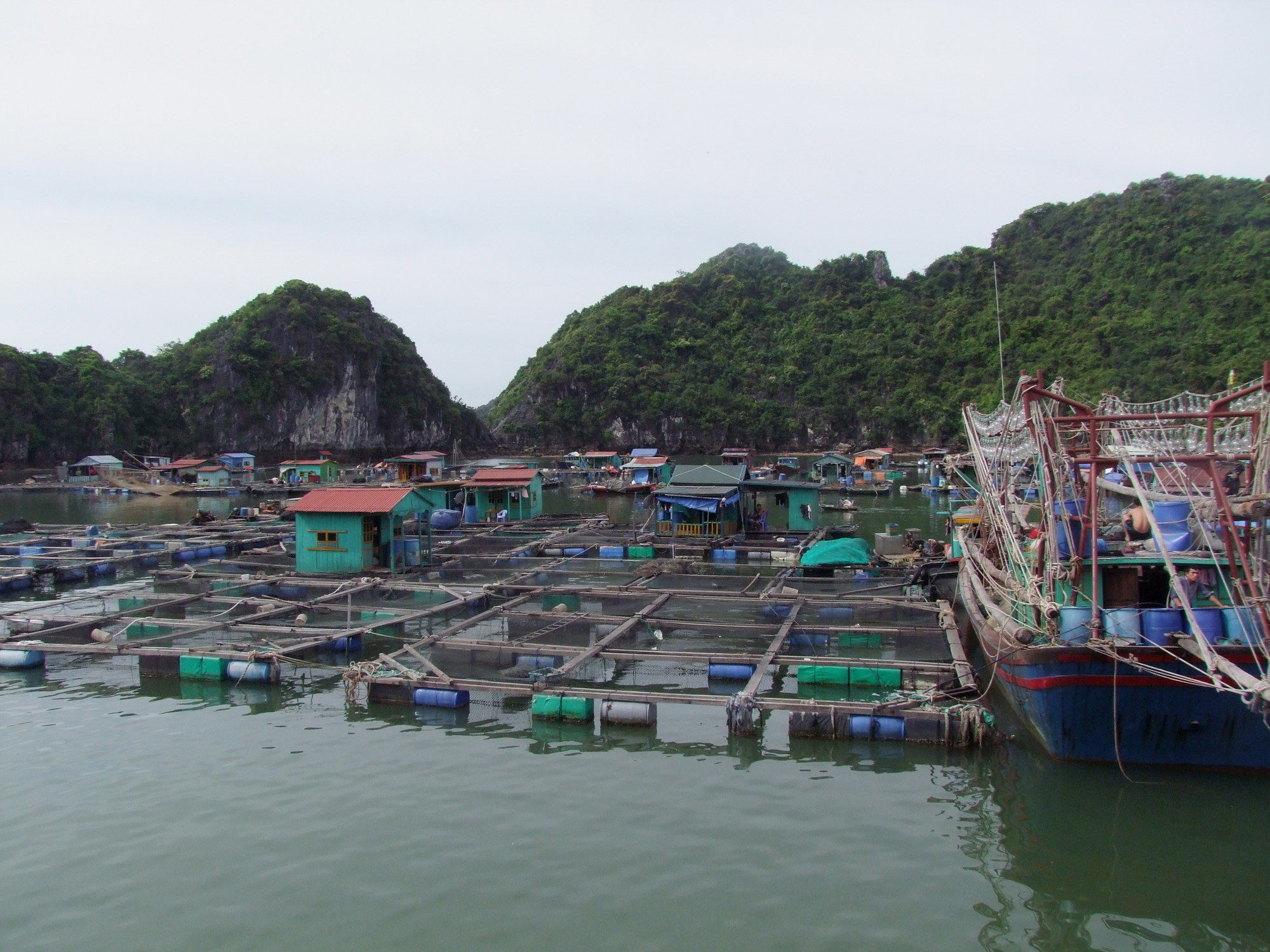 Фото Gieng Ngoc Hotel