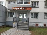 Ryzhiy Kot (posyolok GES, 10-y kompleks, 1) ، عيادة بيطرية