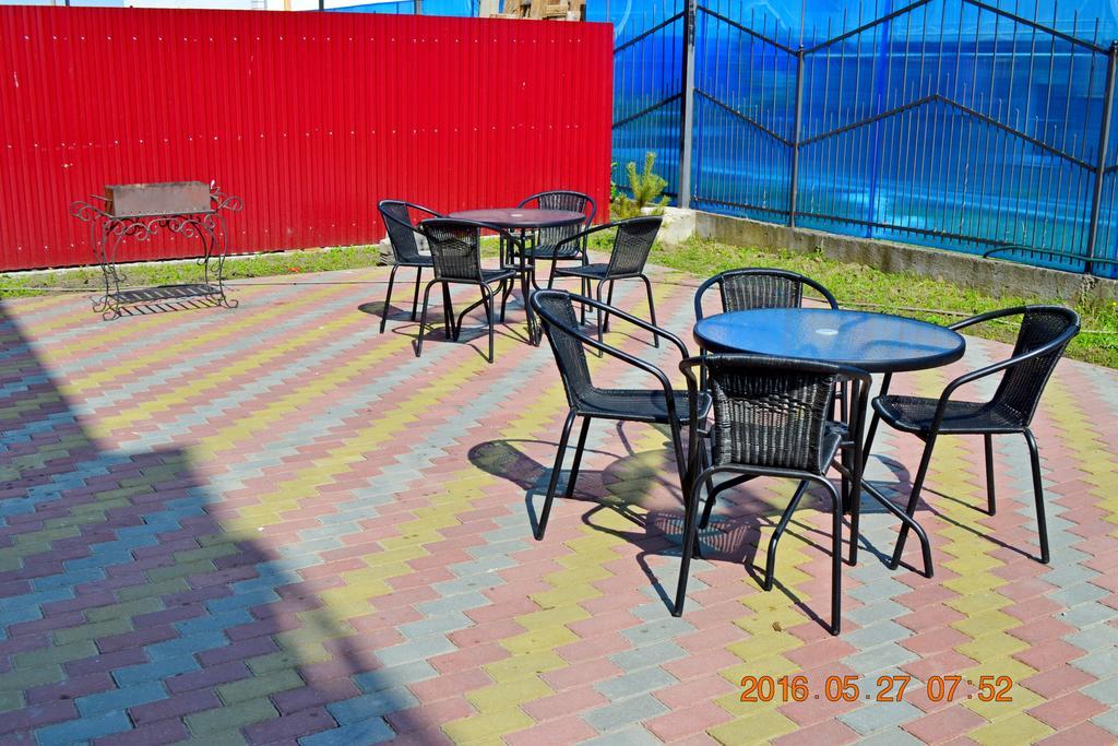 Фото На лугу