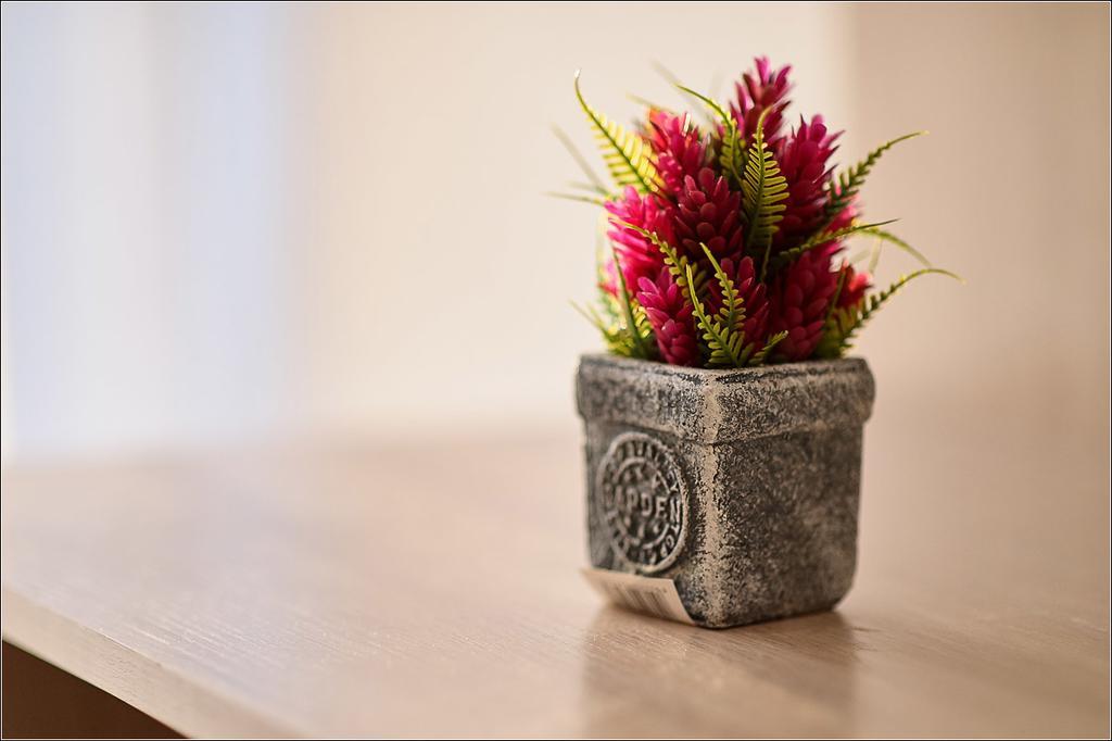 Фото Kamchatka Sweet Home