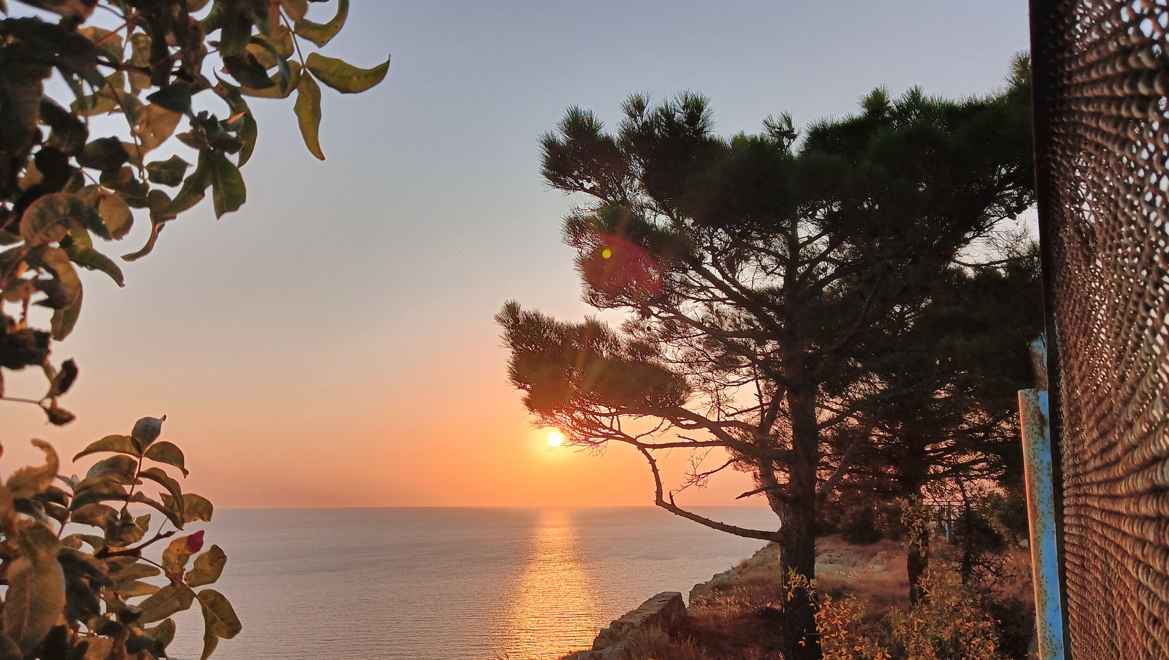 Фото Каравелла