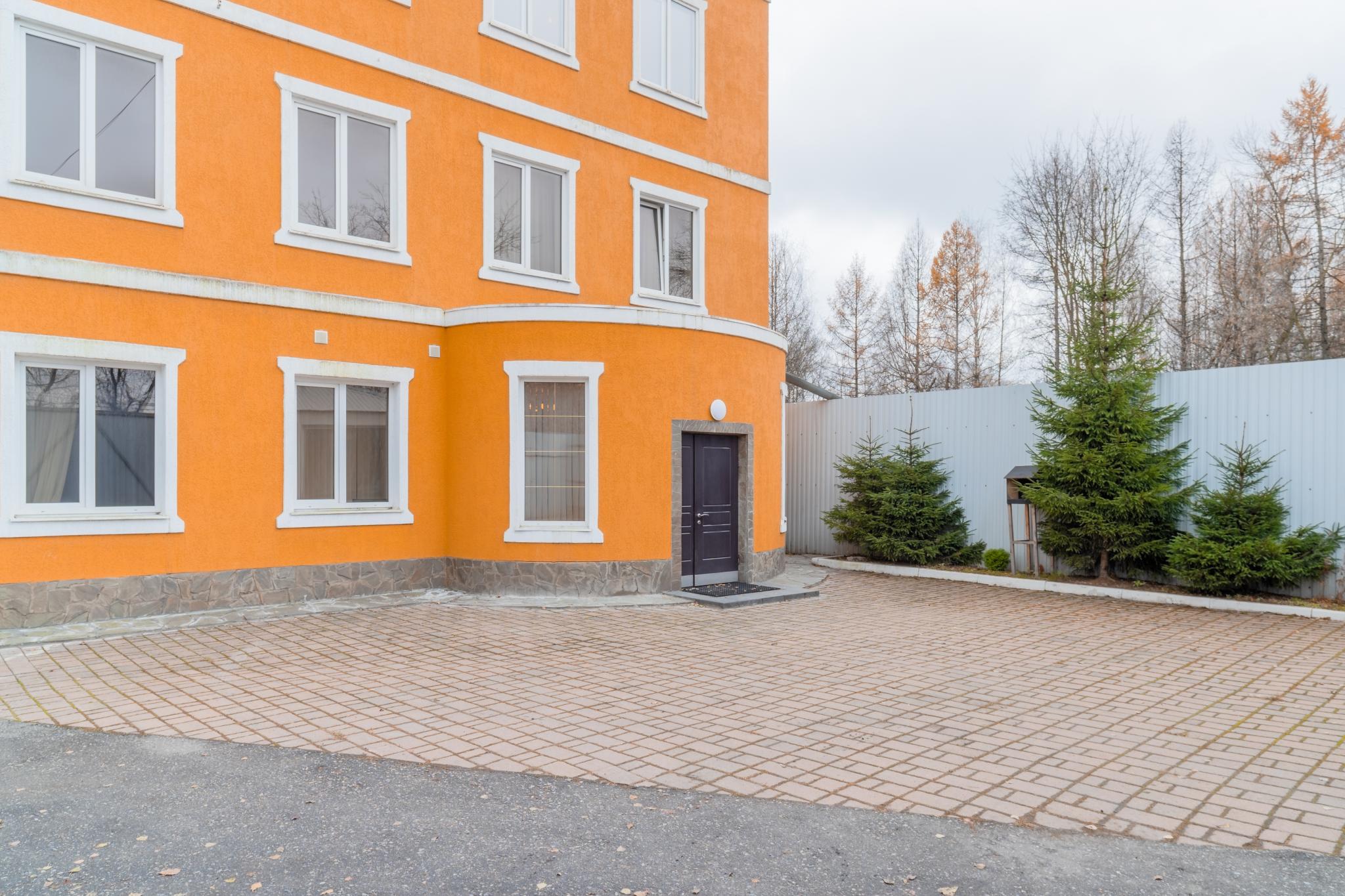 Фото Мандарин