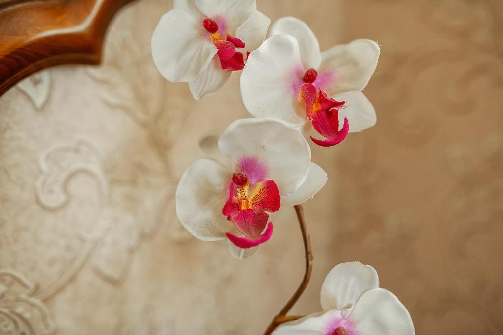 Фото Разгуляй