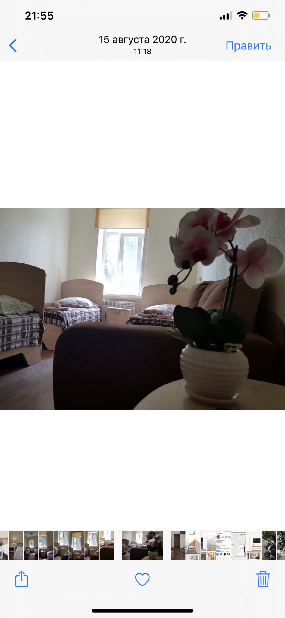 Фото Дружба