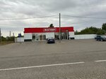 Magnit (stanitsa Alekseyevskaya, ulitsa Lenina, 14), grocery