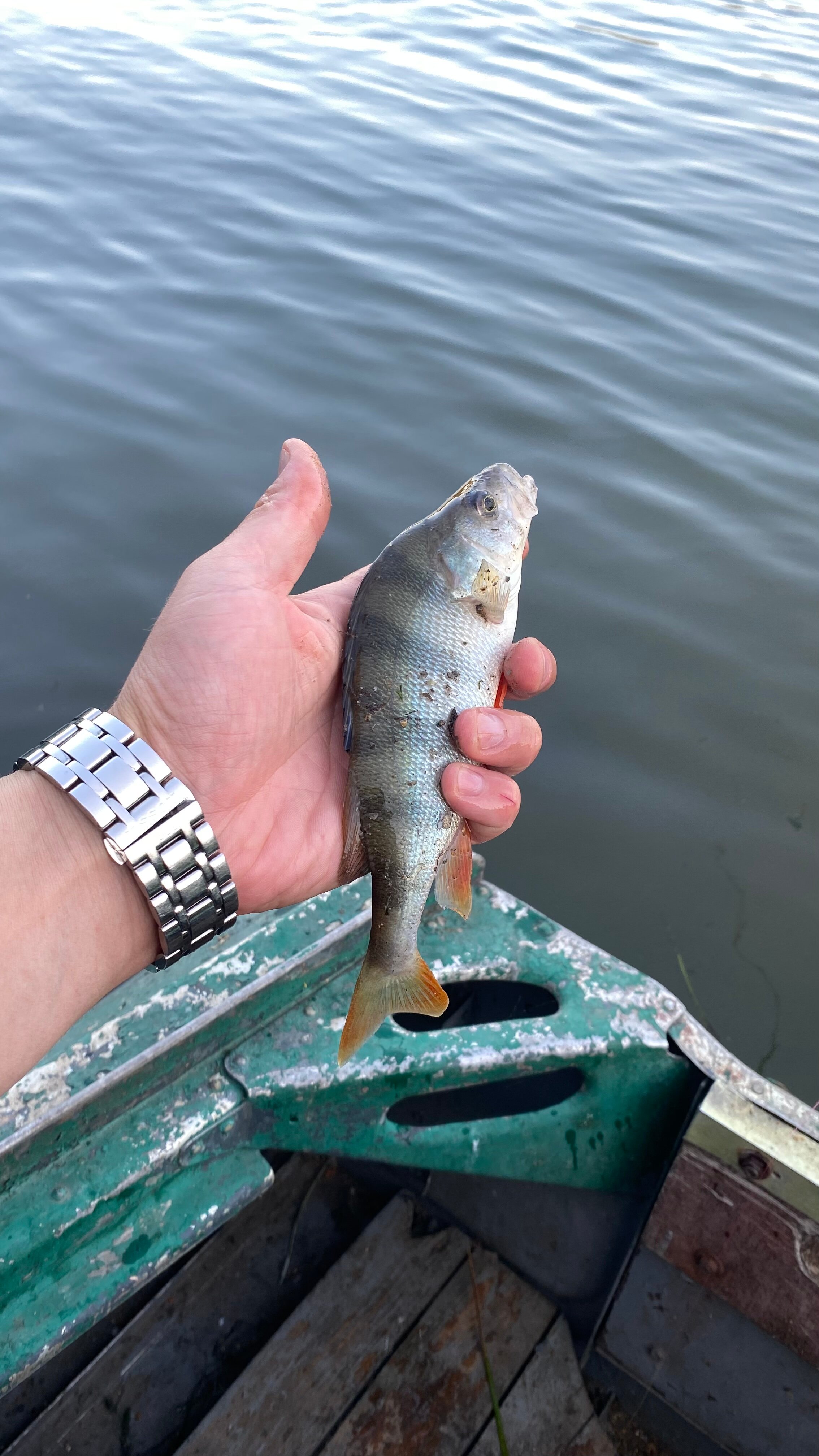 Фото На Переправе