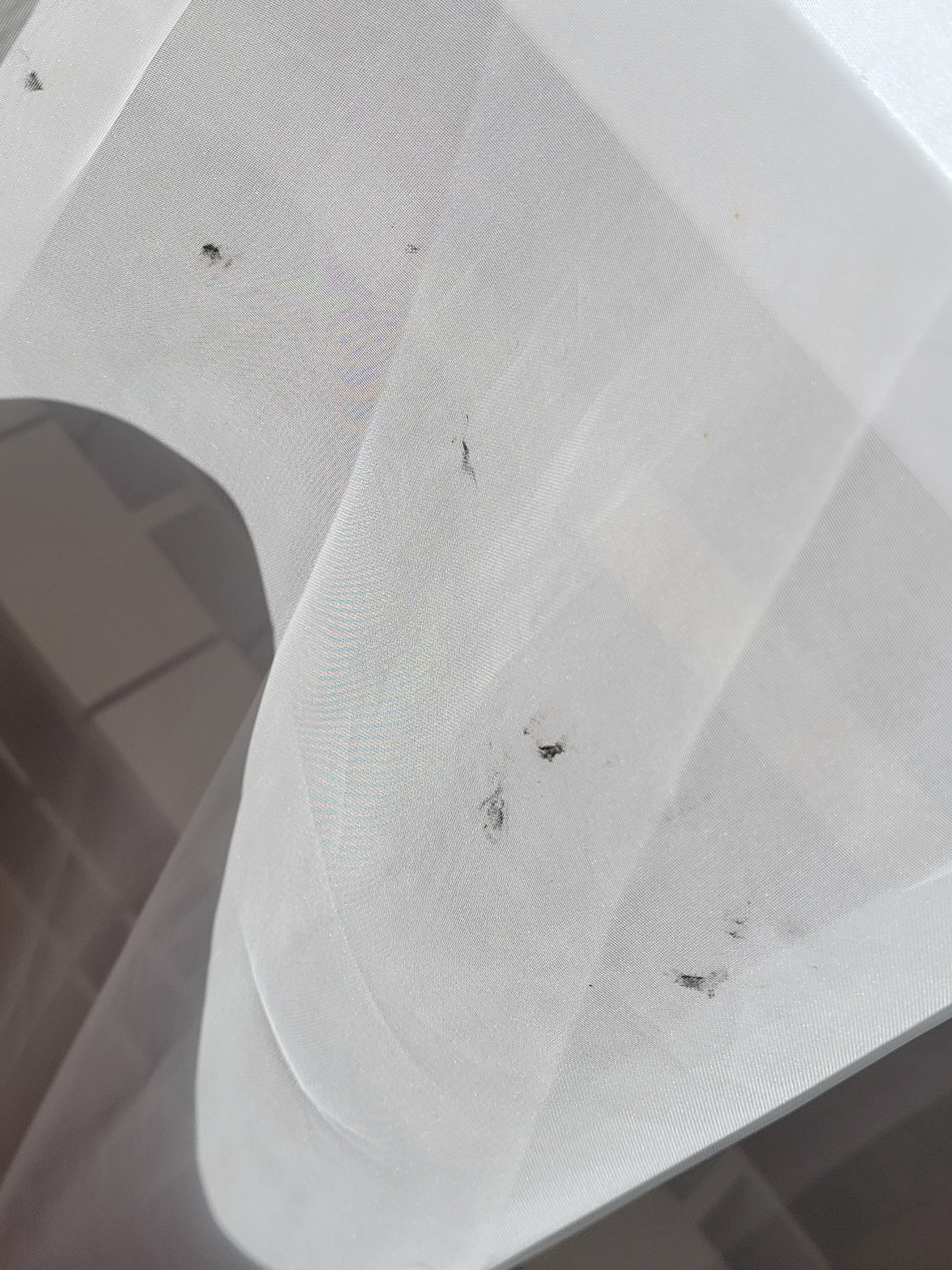 Фото Рандеву