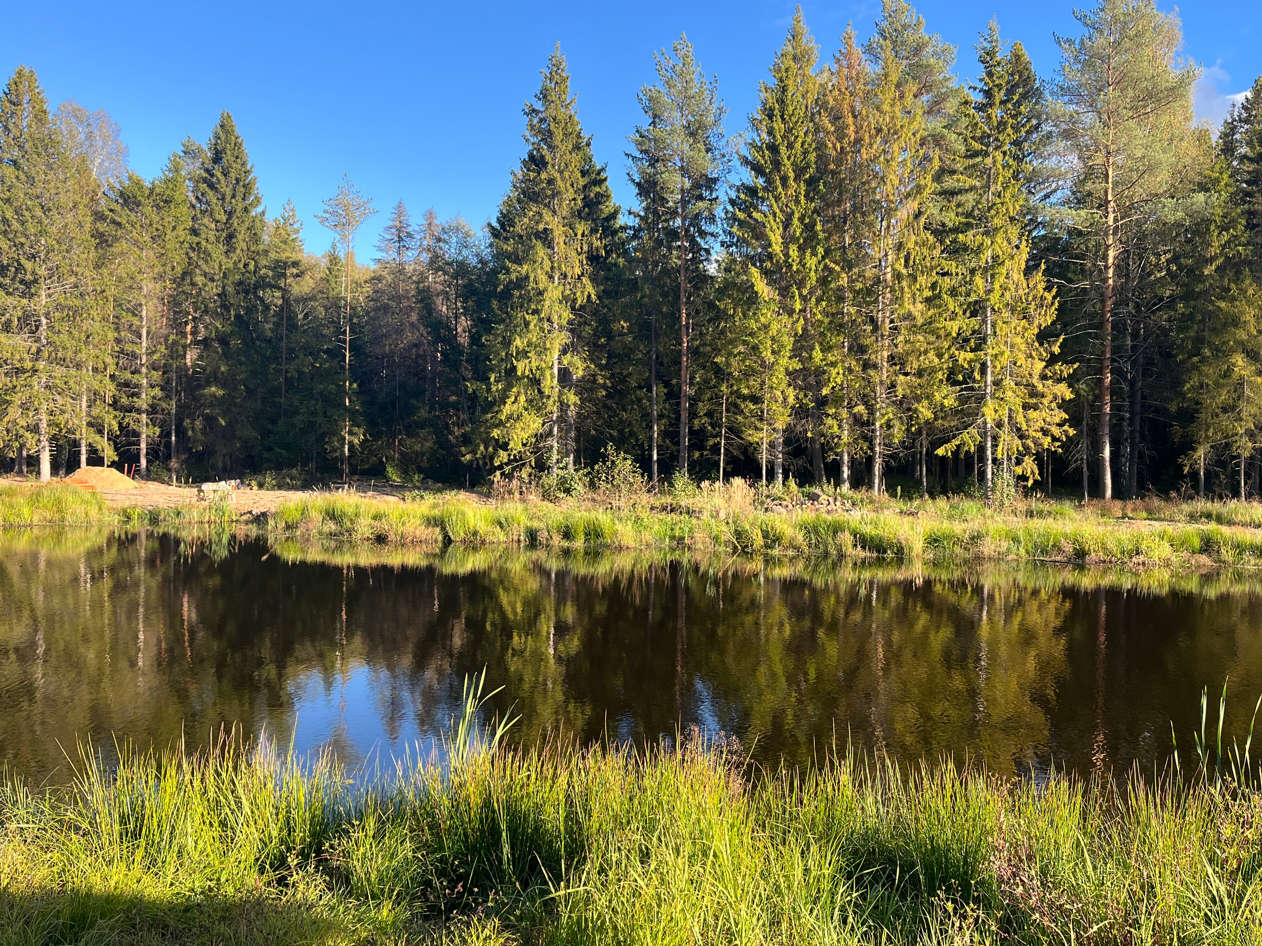 Фото Чистые пруды