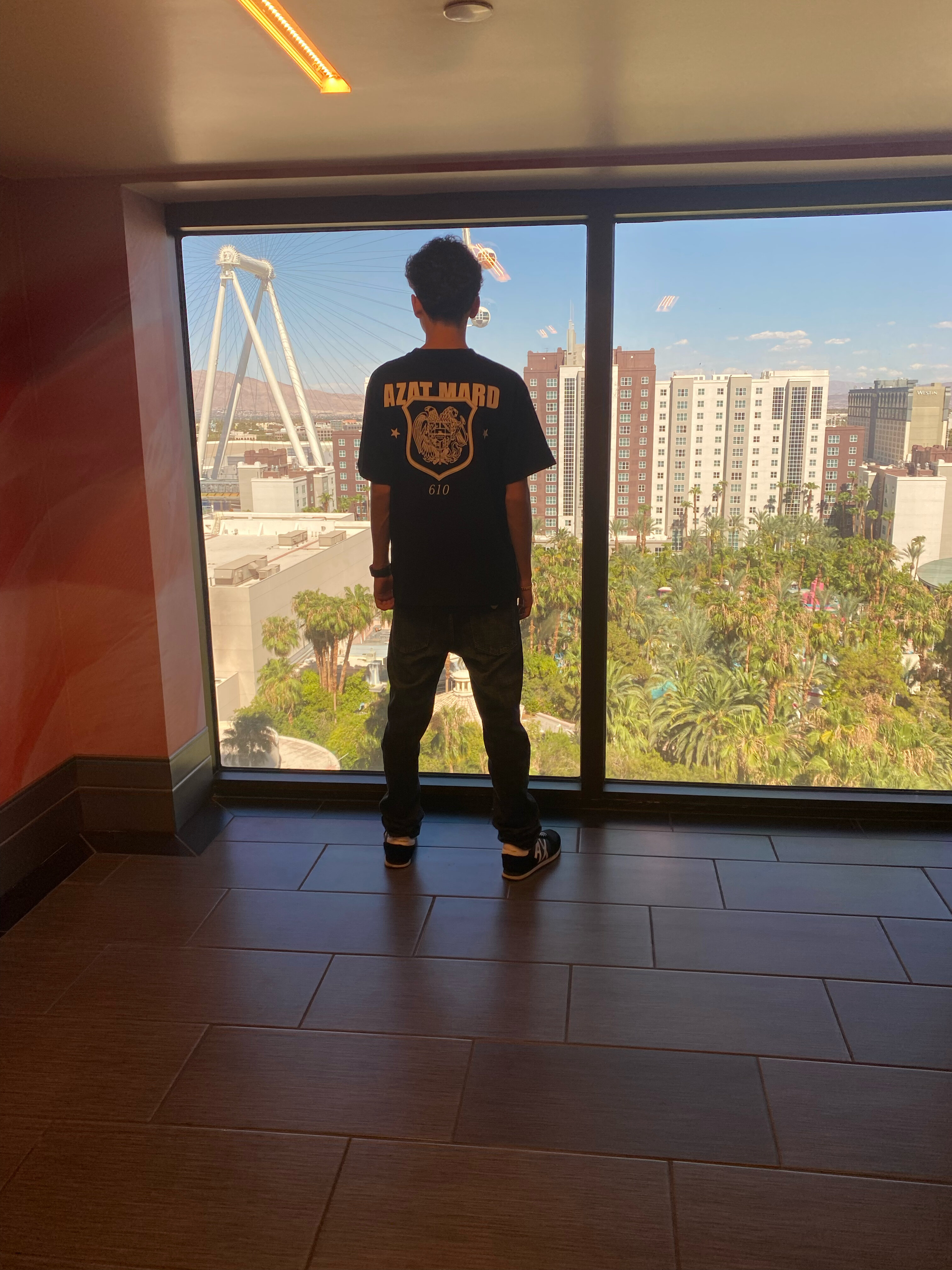 Фото Flamingo Las Vegas 