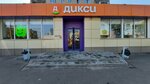 Dixy (Stroiteley Avenue, 24), grocery