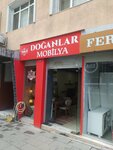Doğanlar Home Furniture Bayrampaşa (İstanbul, Bayrampaşa, Uygur Cad., 26-28D) ، محل أثاث