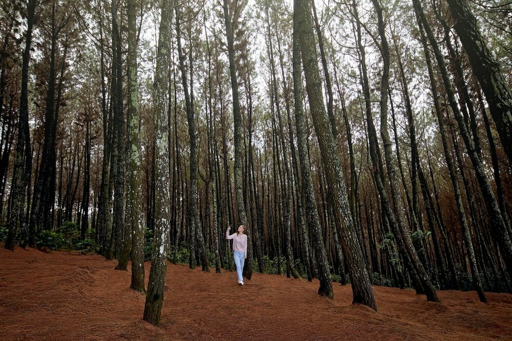 Фото Four Points by Sheraton Bandung