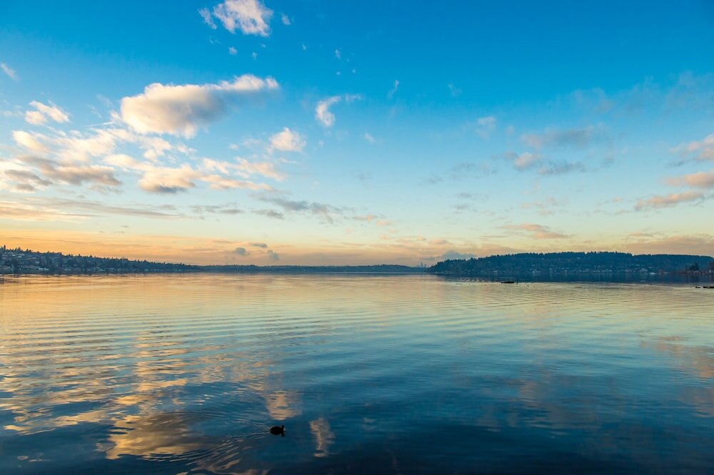 Фото Hyatt Regency Lake Washington at Seattle’s Southport