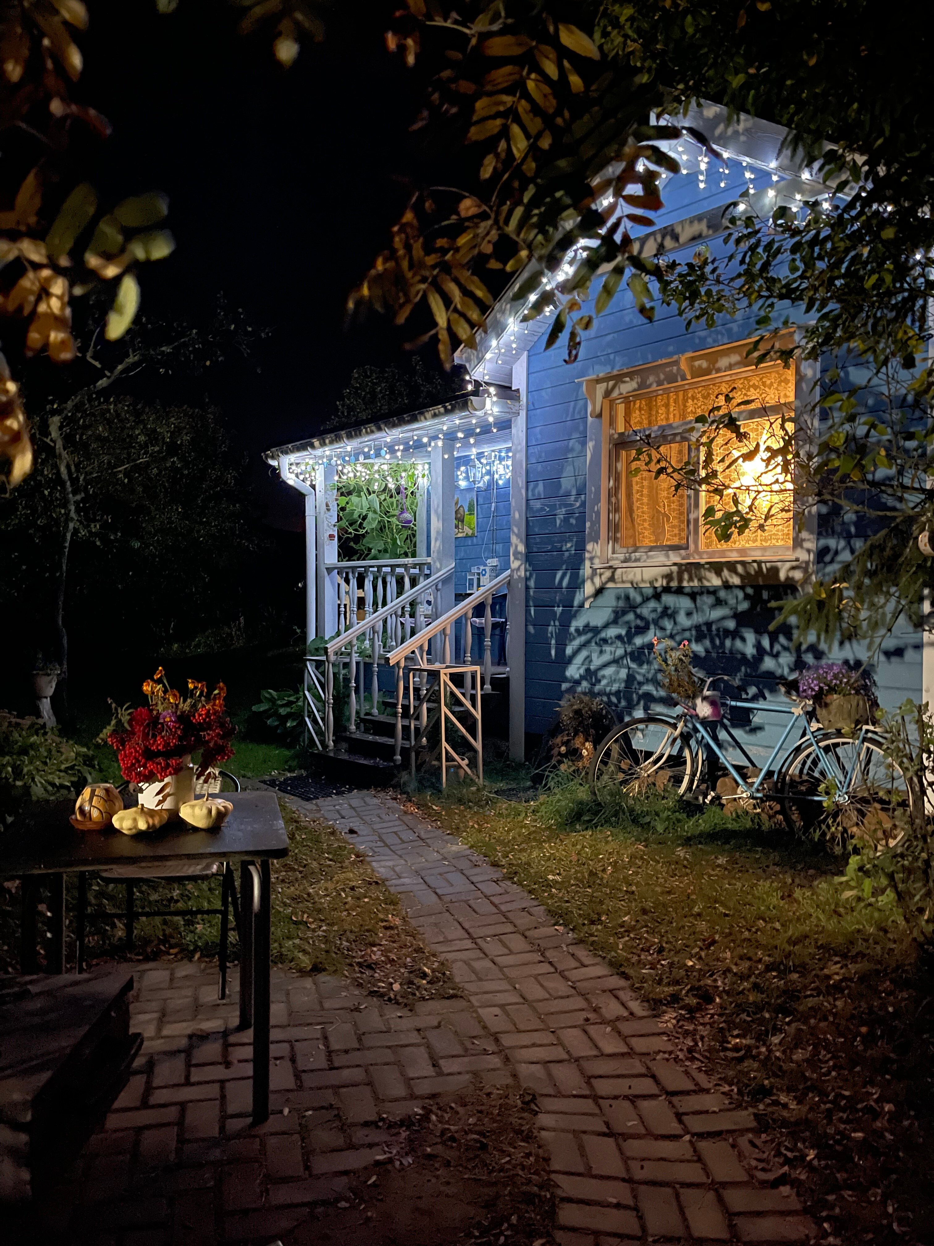 Фото Лосиный тупичок