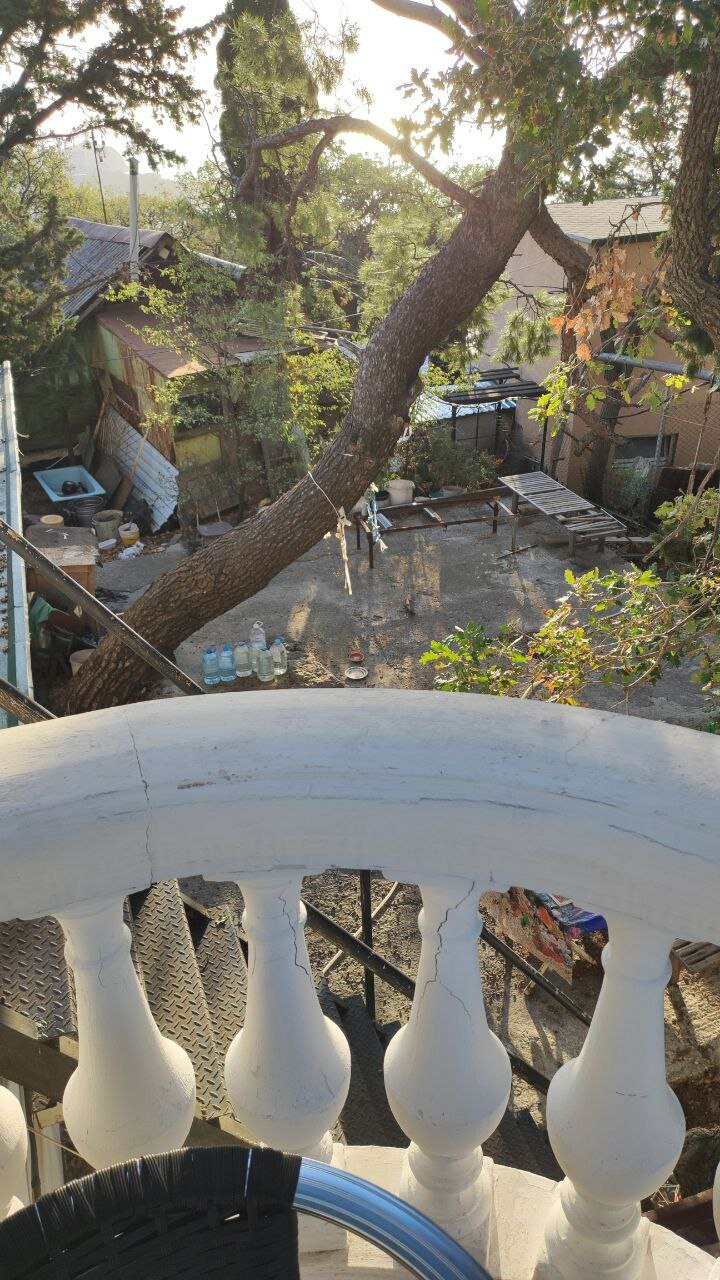 Фото Ренессанс