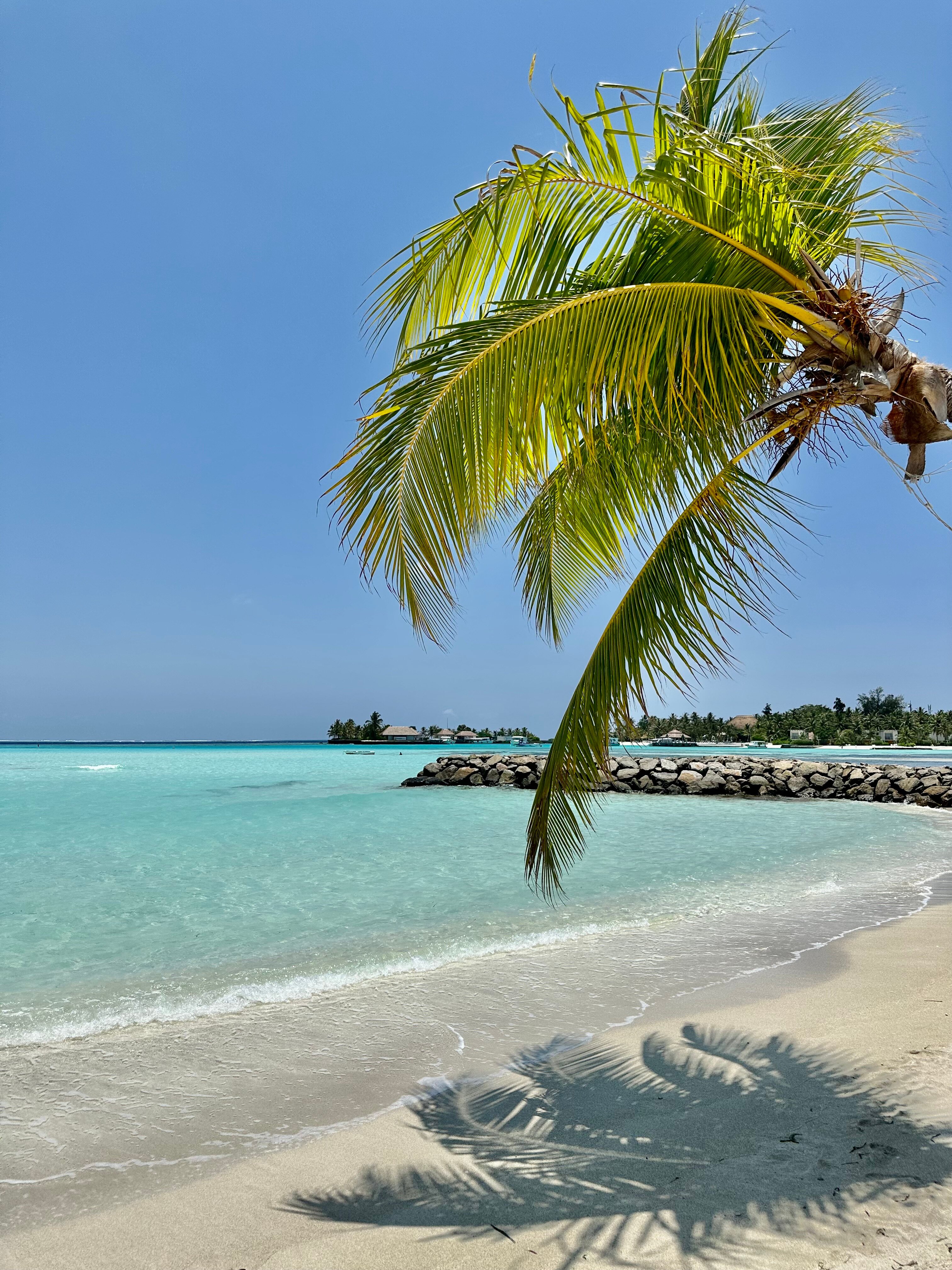 Фото Ocean Retreat & SPA