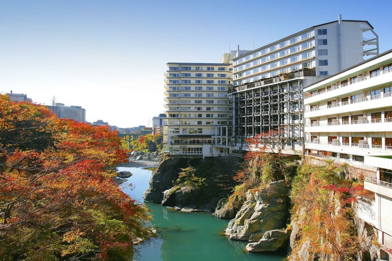 Гостиница Kinugawa Plaza Hotel в Никко