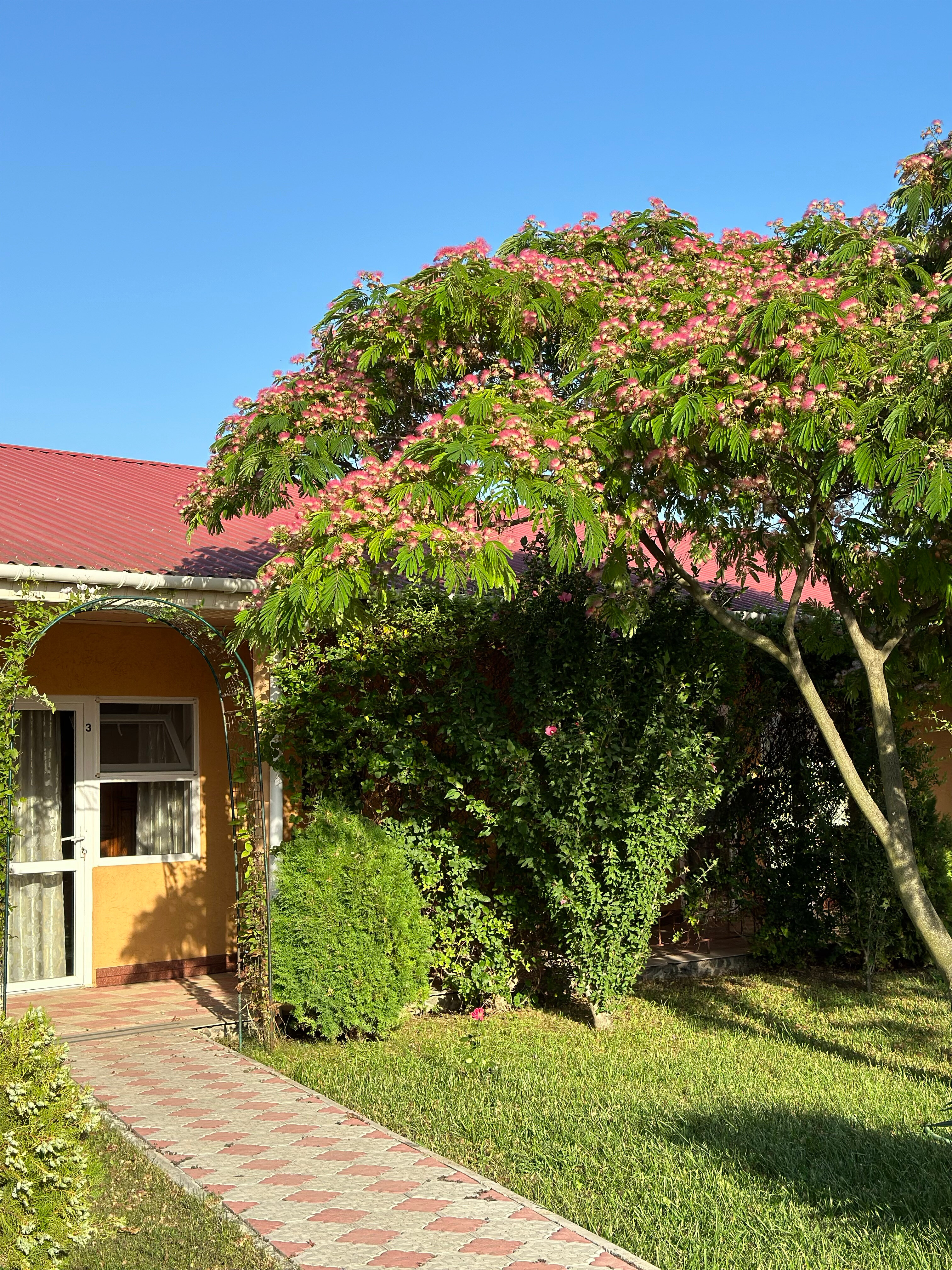 Фото Райский отдых