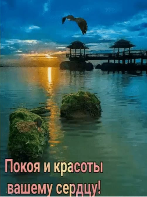 Фото Stella Gardens Resort & SPA