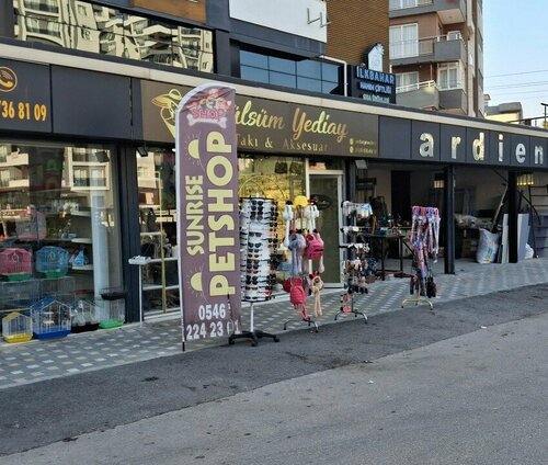 Gülsüm Yediay Fotoğraf 1