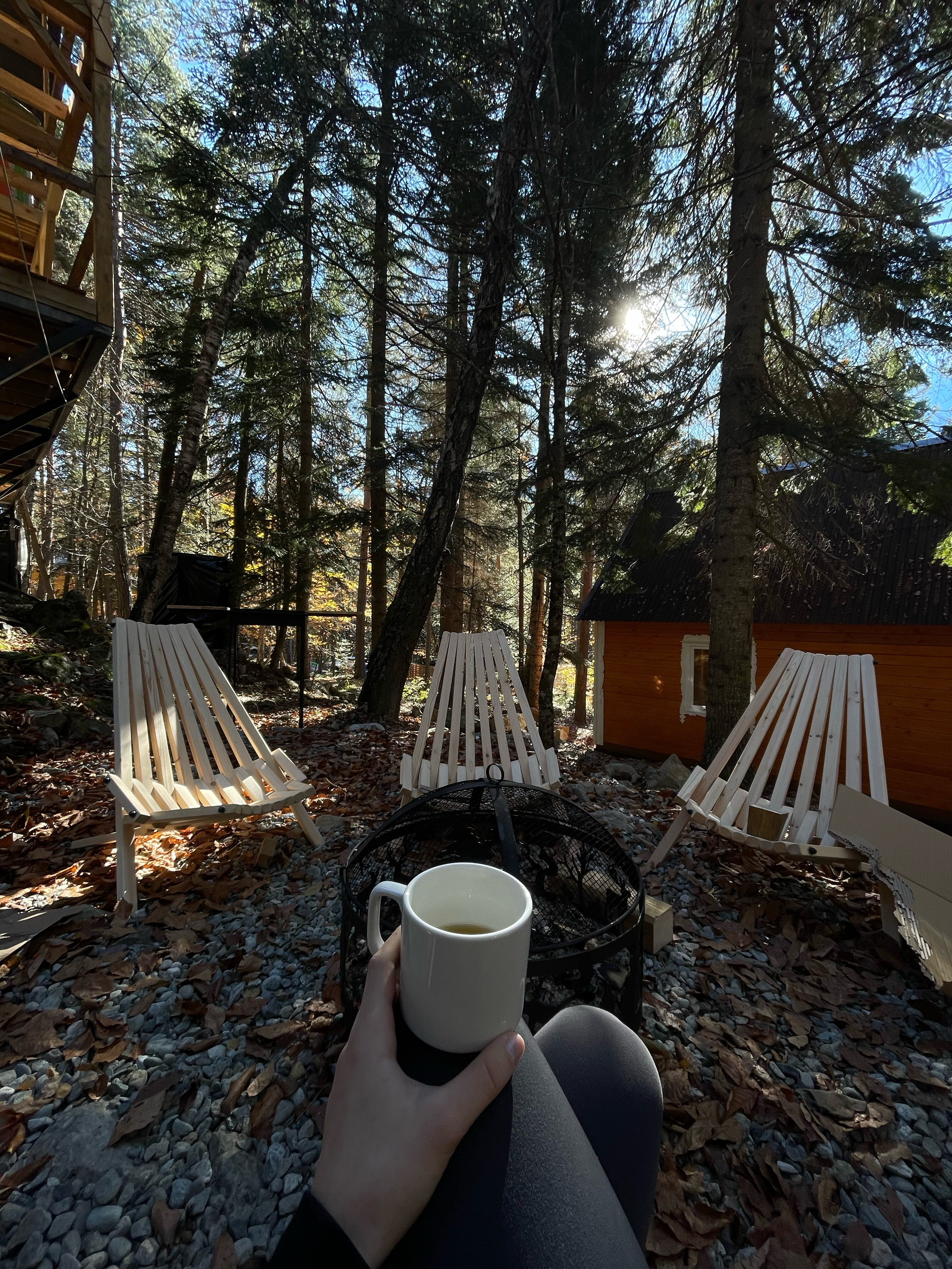 Фото Гринвальд 1474