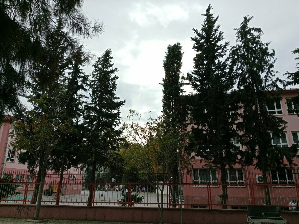 Primary school Muzaffer Tasdemir Primary School, Izmir, photo