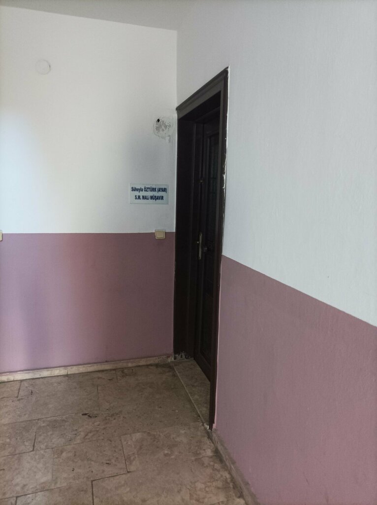 Tax consultants Suheyla Ozturk, Antalya, photo