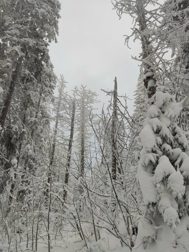 Ski lodge Спортбаза, Zlatoust, photo