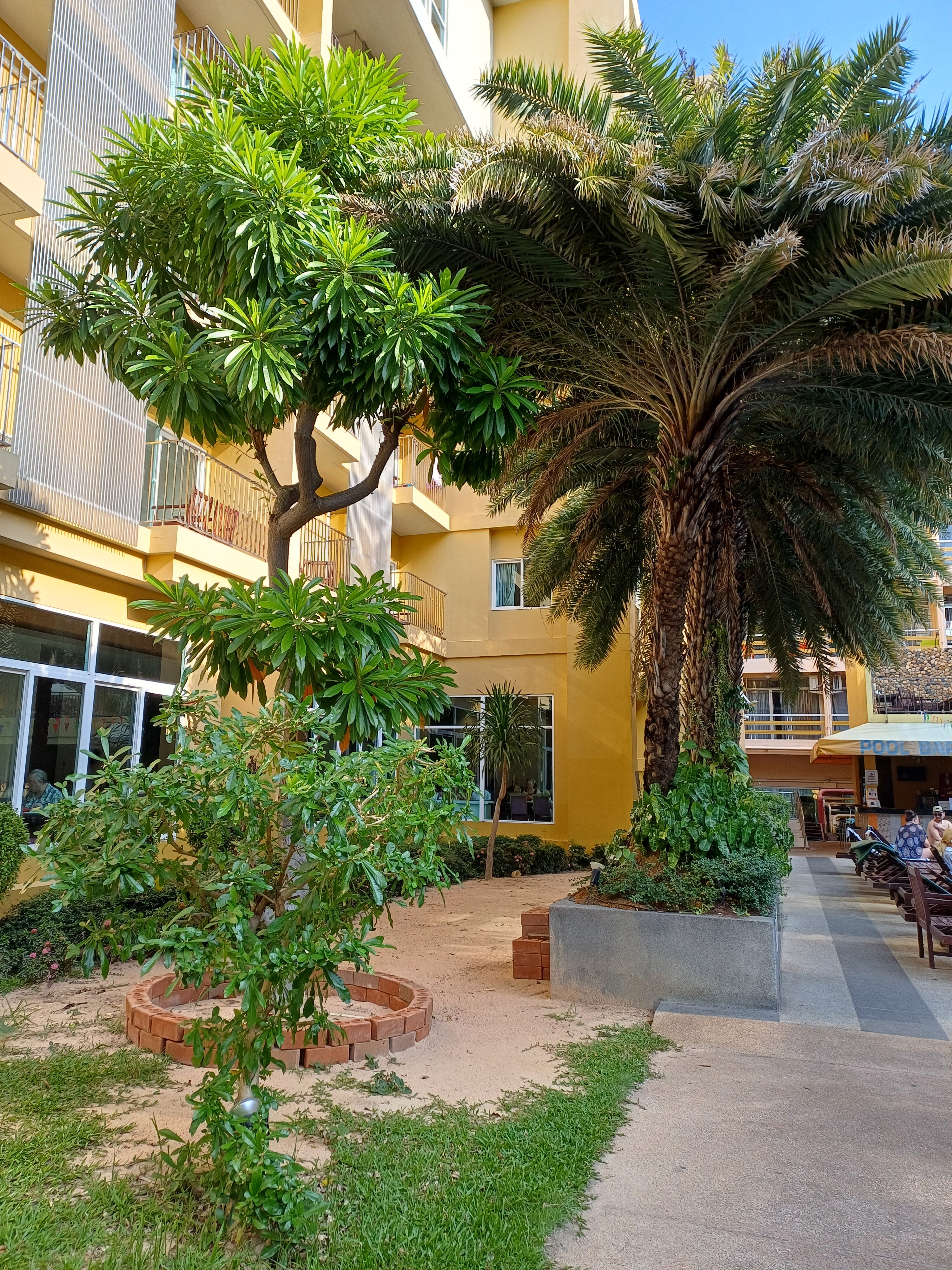 Фото Bella Express