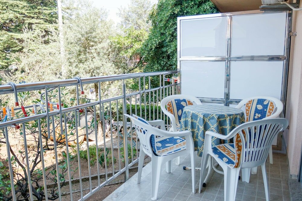 Фото Sea star Danica