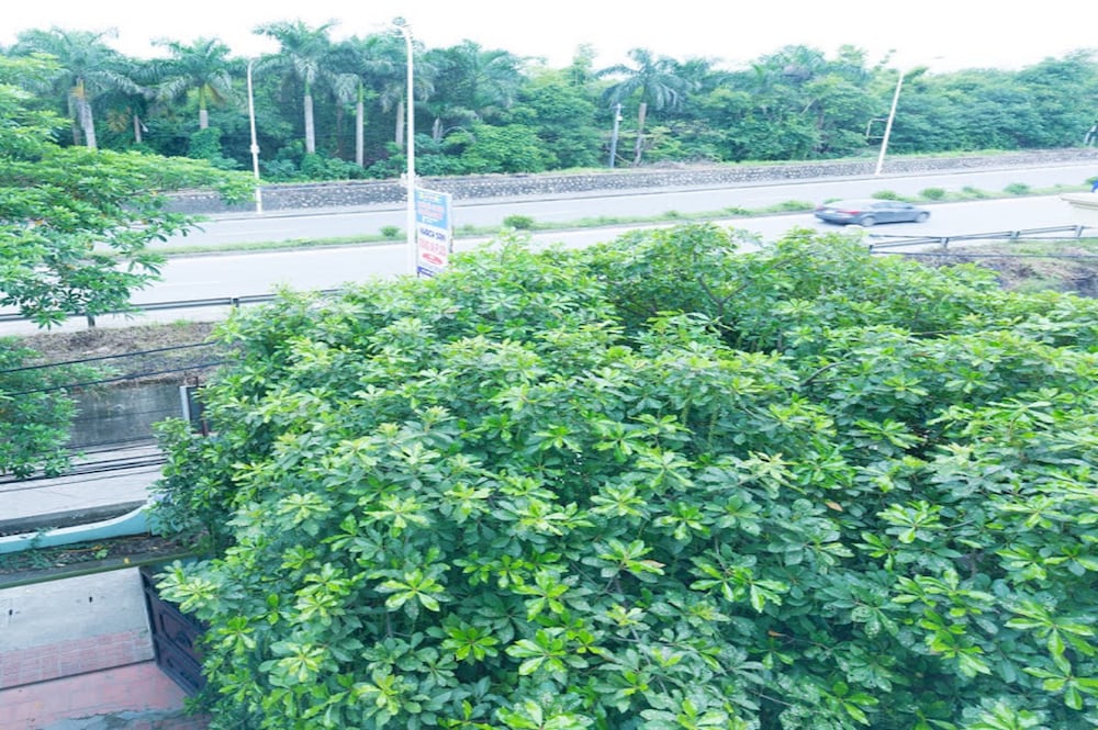 Фото Trang An Plaza Hotel