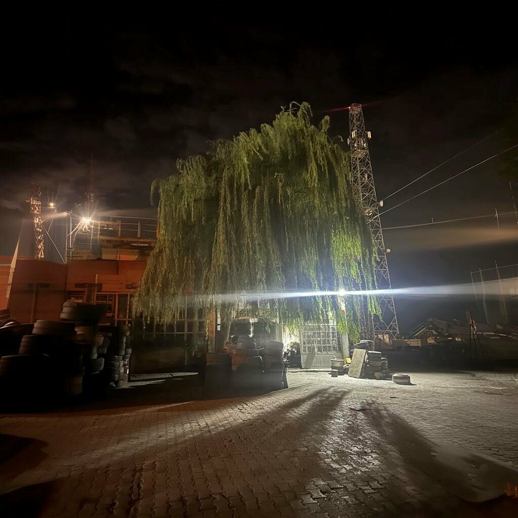 Tires and wheels Özer Tire, Sogut, photo