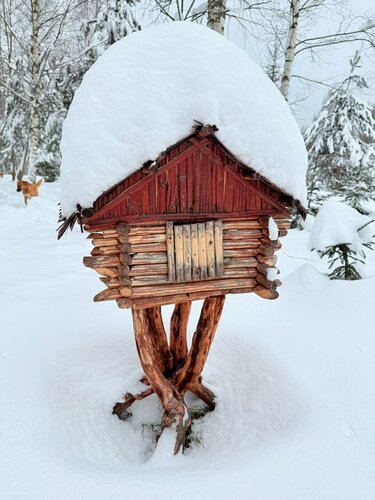 Глэмпинг Багио в Лотошинском районе