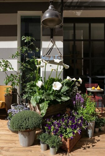 Гостиница Hotel Blu di Te в Санта-Маргерита-Лигуре