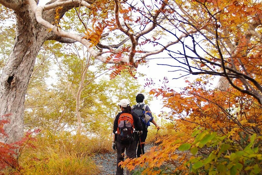 Фото The Guest House Japan Hakuba