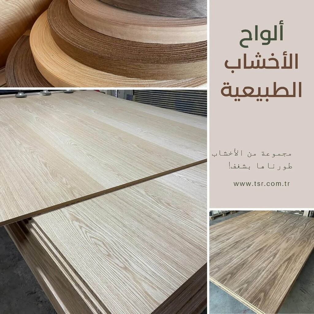 Cabinet furniture Tsr Forest Products, Antalya, photo