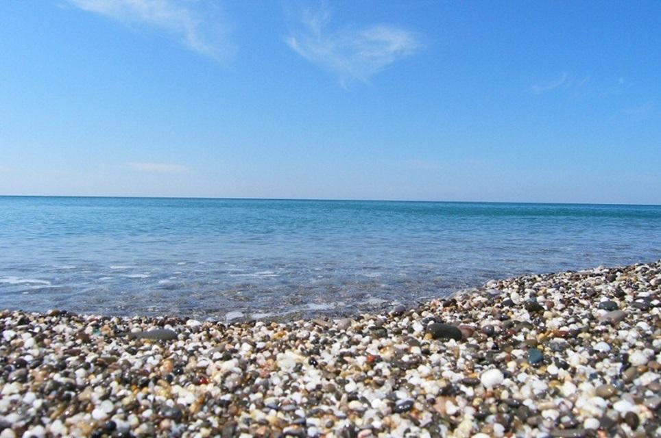 Фото Квитка