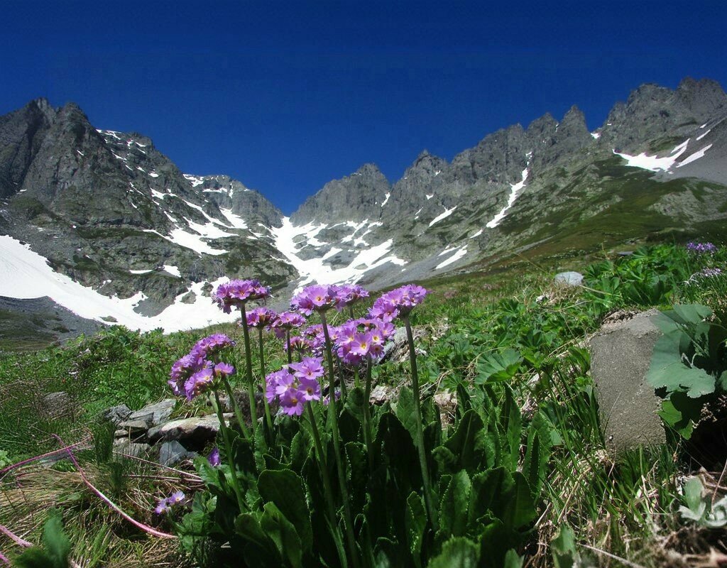 Landmark, attraction Altiparmak Nature Park, Yusufeli, photo