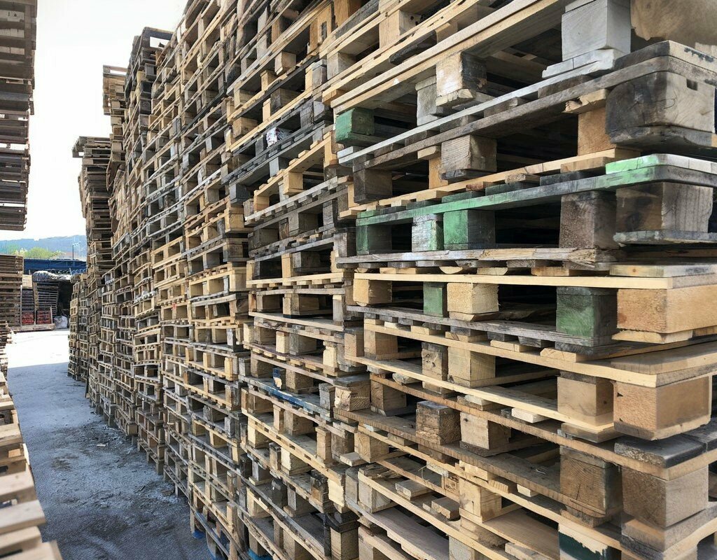 Woodworking enterprise Odak Pallet Packaging, Istanbul, photo