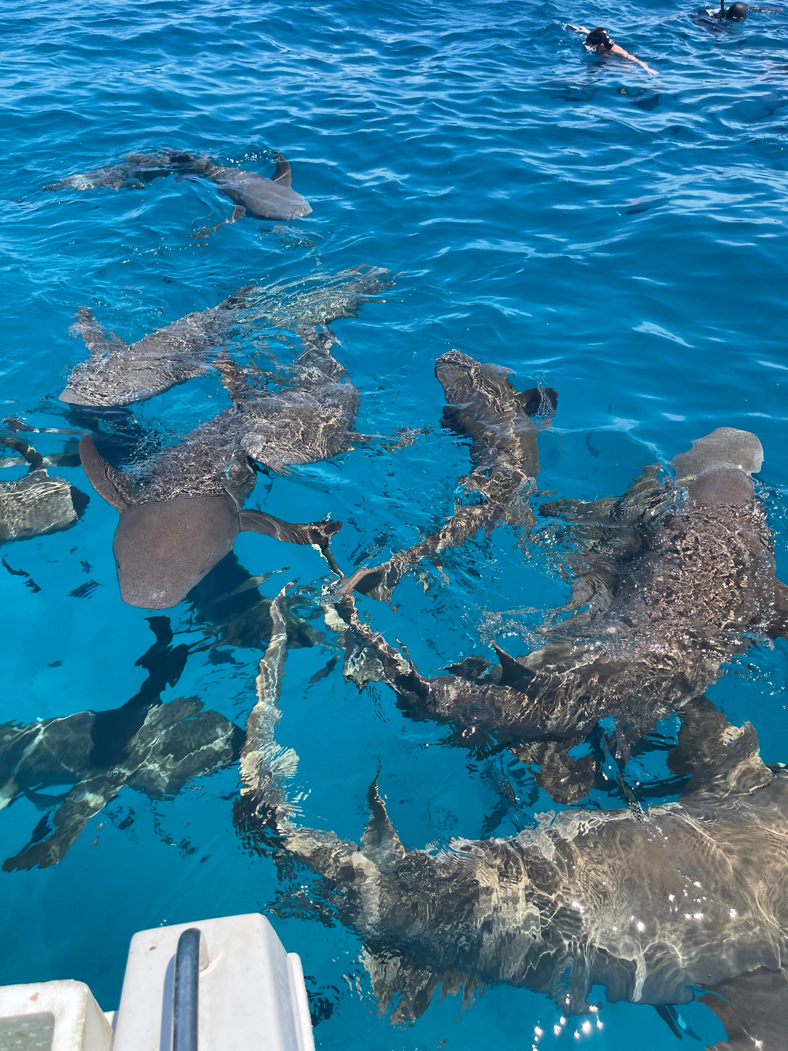 Фото Sands Grand Hotel