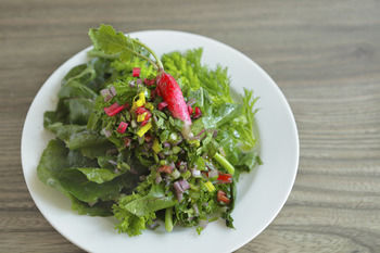 Фото Hotel Nupka - Hostel