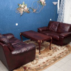 Фото Аркада