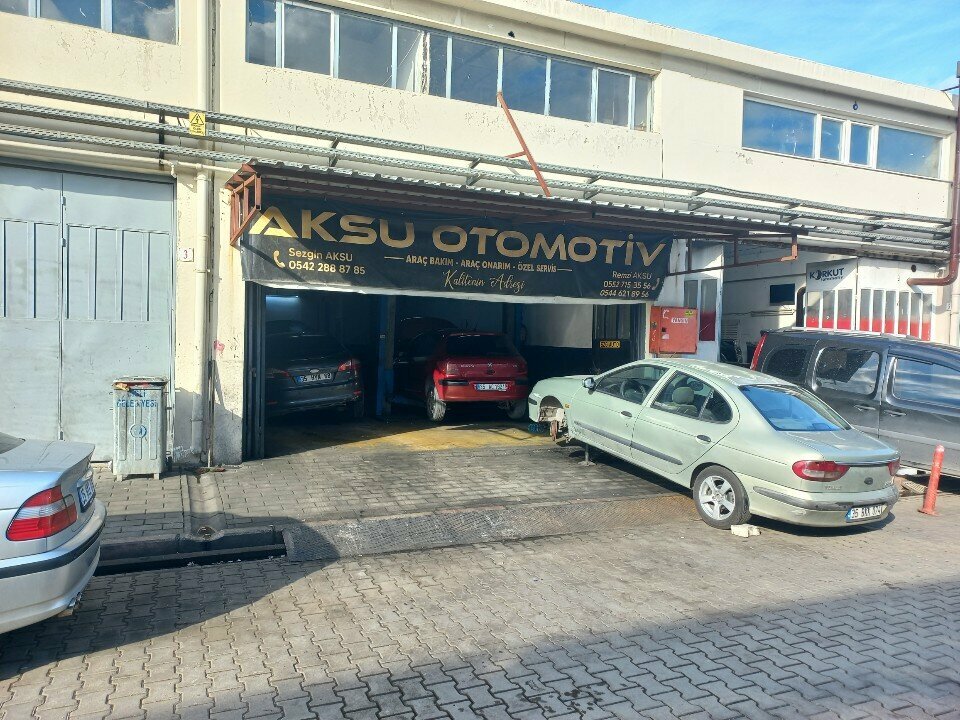 Autocosmetics, auto chemical goods Aksu Automotive, Izmir, photo