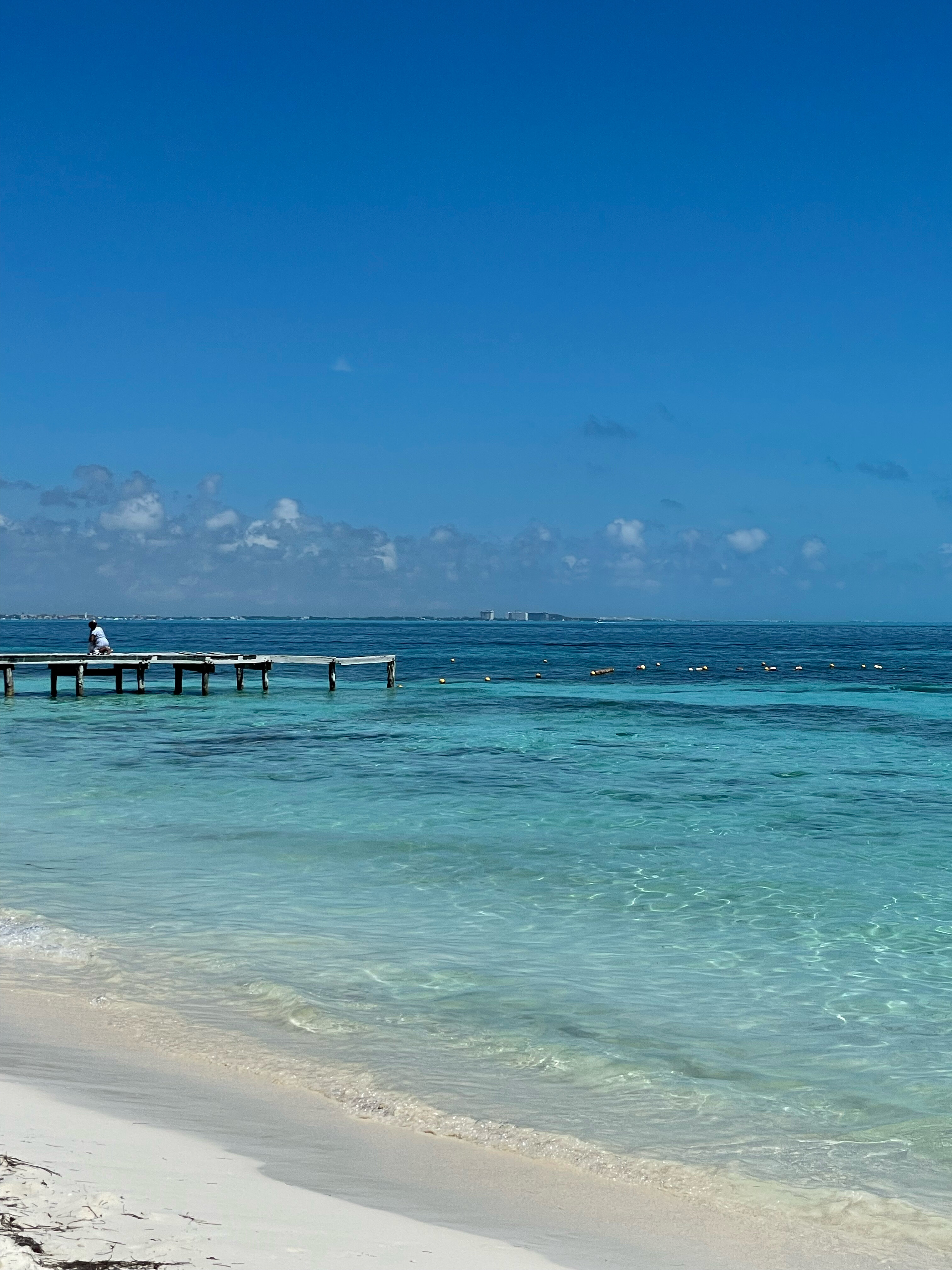 Фото Hotel Riu Palace Las Americas