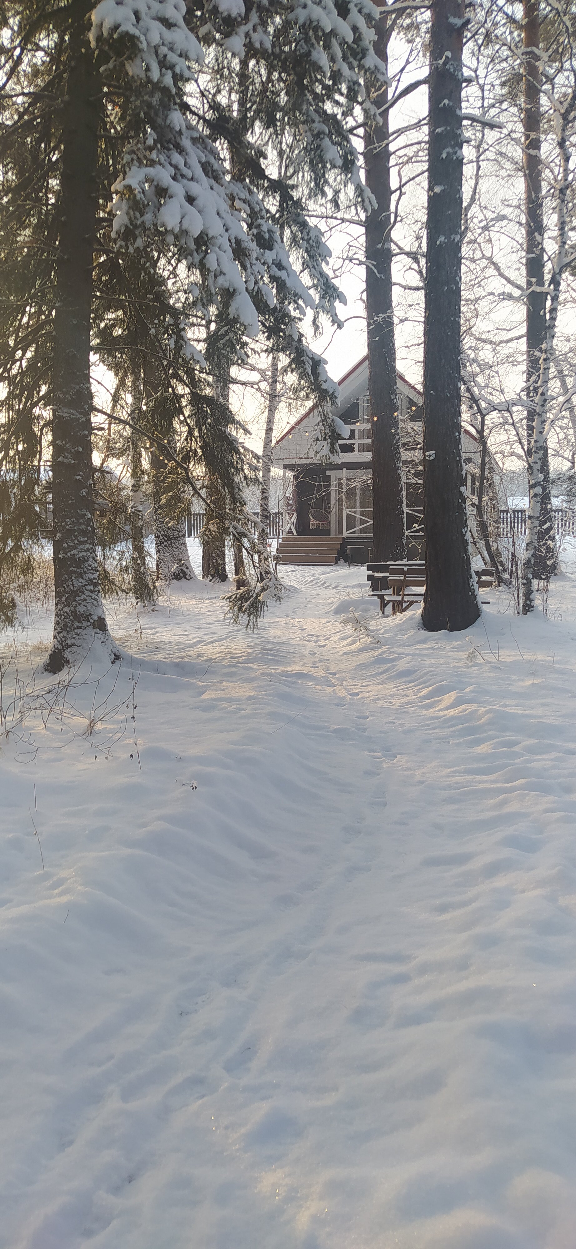 Фото отеля 4