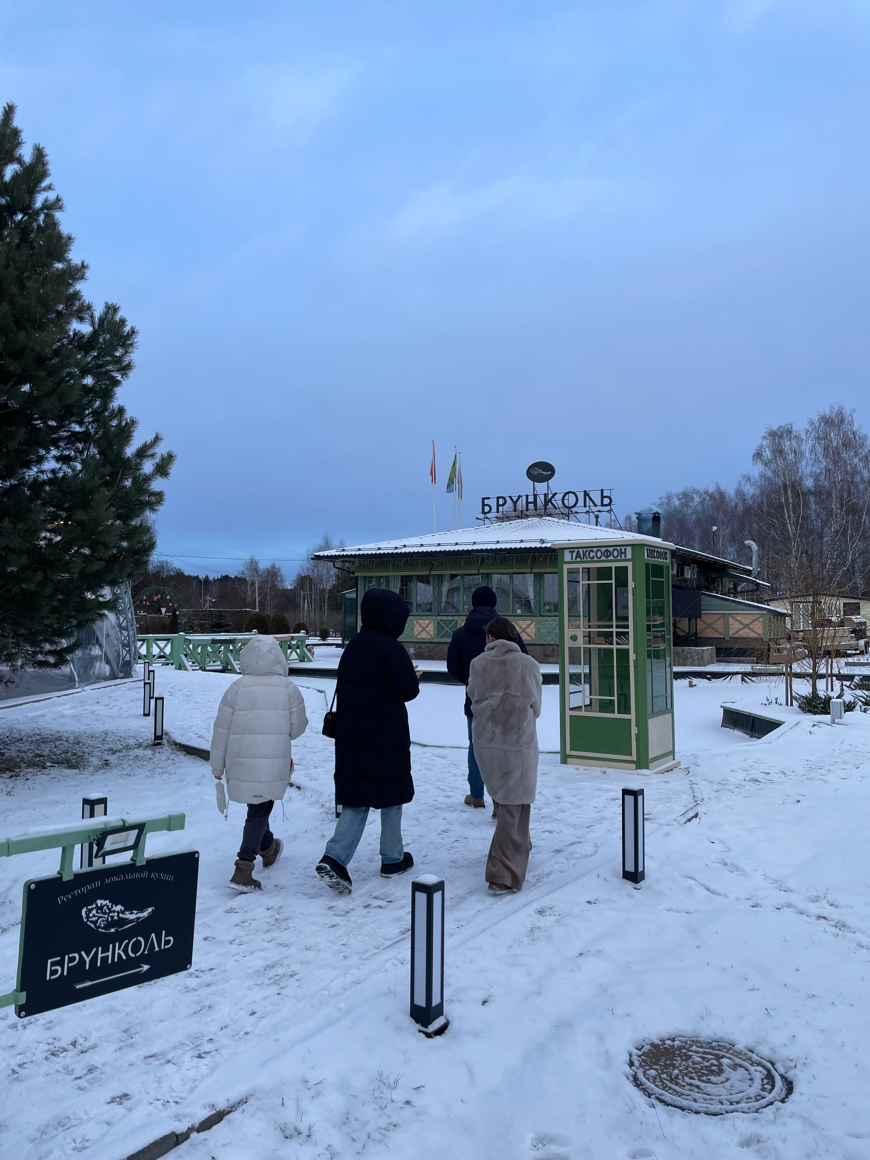 Фото Брунколь