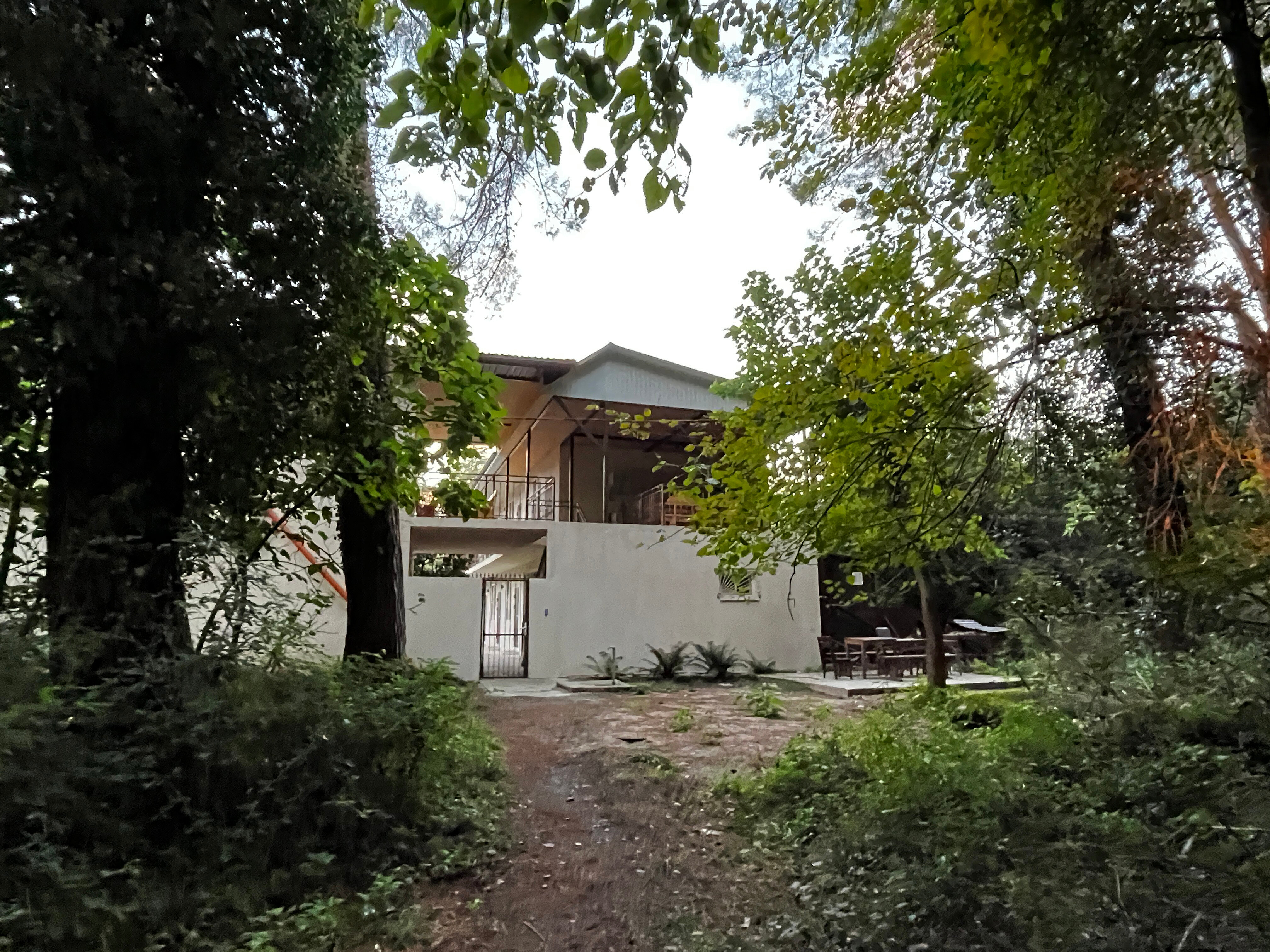 Фото Сосновый рай