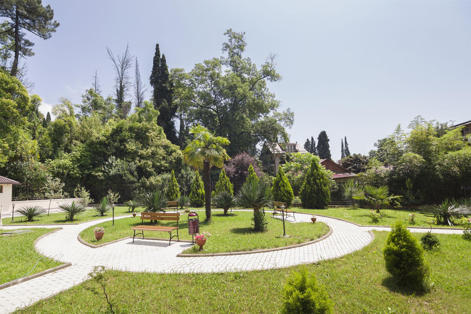 Фото Старая Хоста