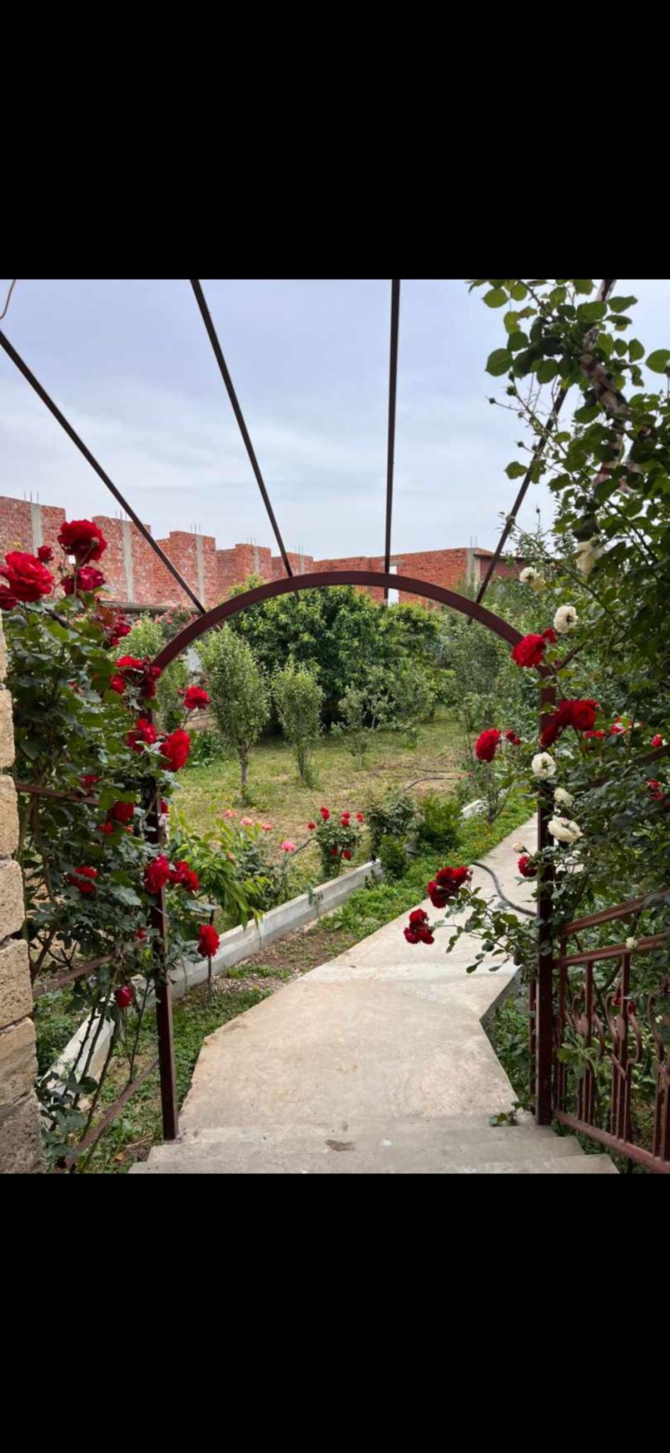 Фото В Тарках